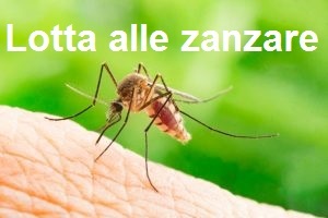 Lotta alle zanzare: comportamenti utili e consegna gratuita di una confezione di pastiglie antilarvali